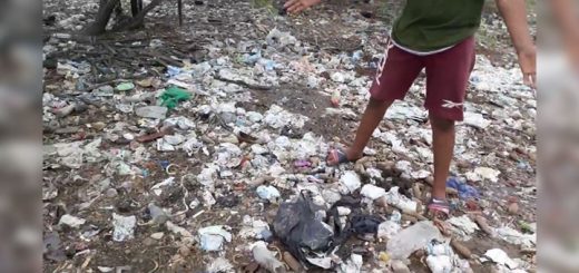 La recuperación de nuestra ciénaga