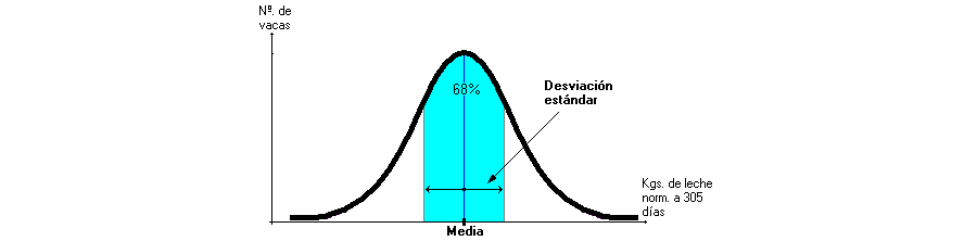 Taller de Estadística: Varianza y Desviación Estándar